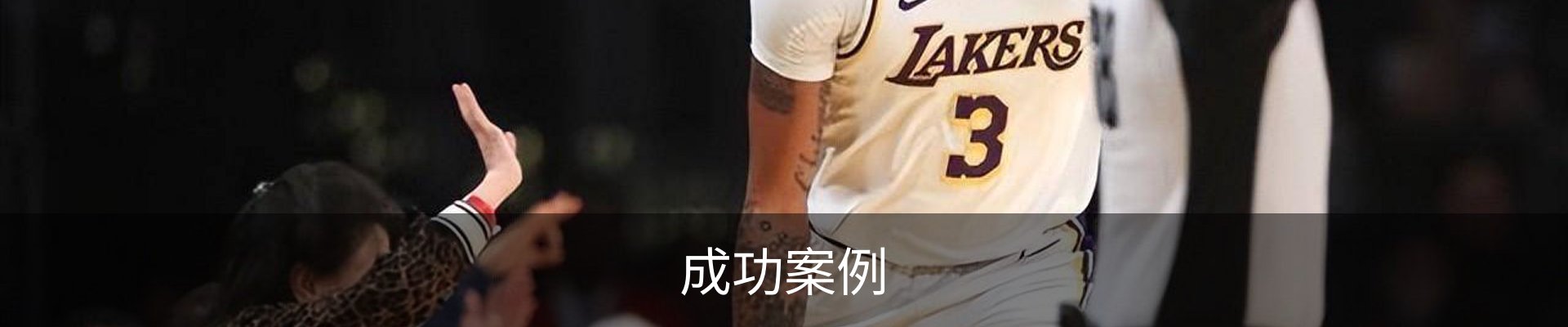 成功案例