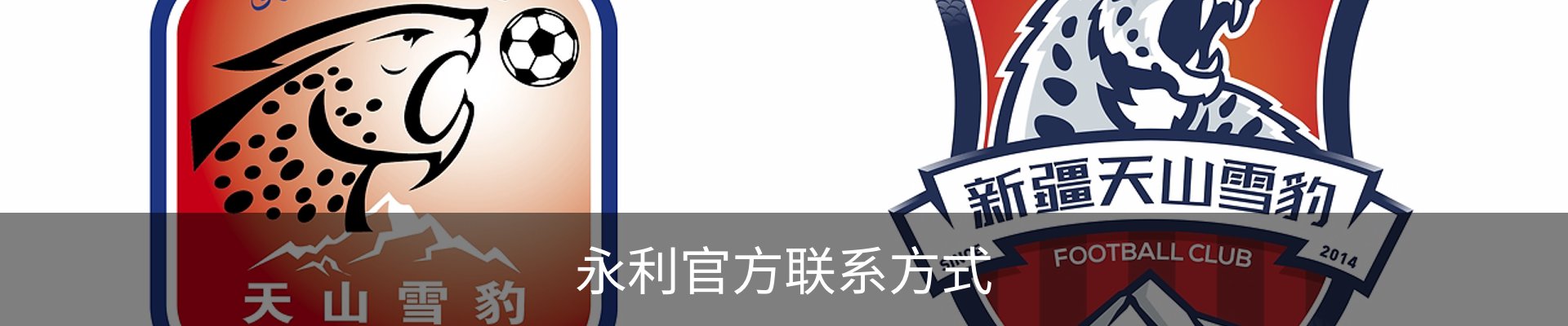 永利官方联系方式